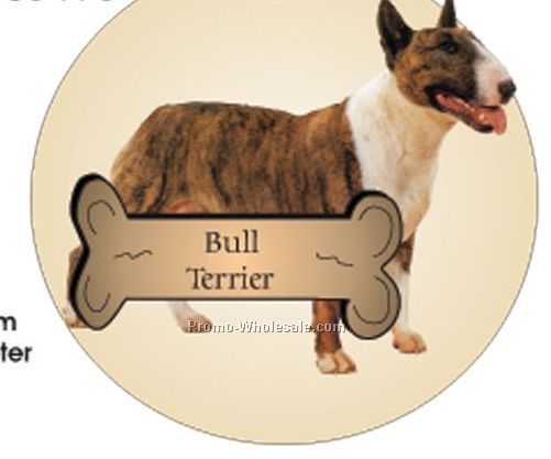 Bull Terrier Acrylic Coaster W/ Felt Back