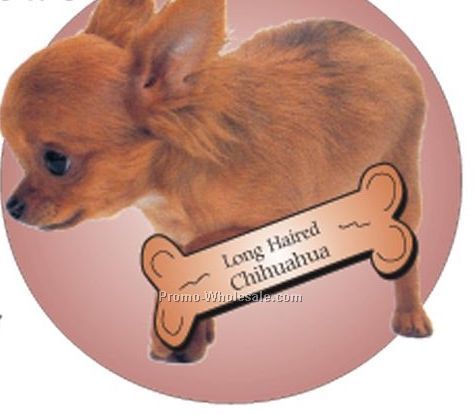 Long Haired Chihuahua Acrylic Coaster W/ Felt Back