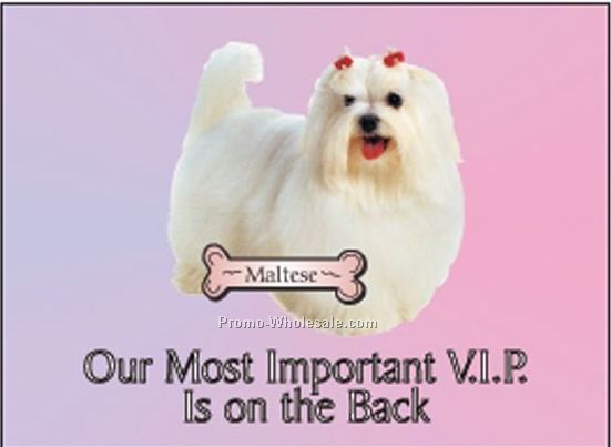 Maltese Dog Rectangle Photo Hand Mirror (2-1/2"x3-1/2")