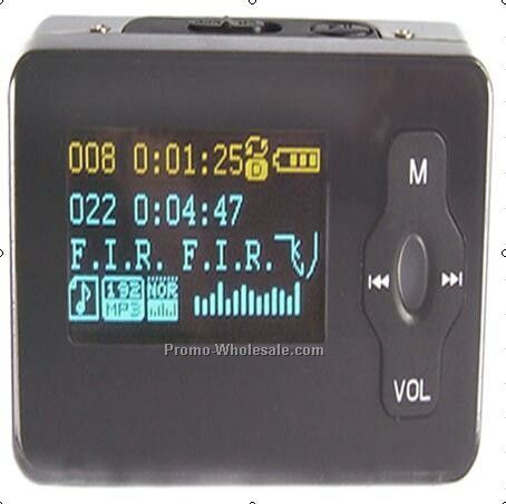 Mp3 W/FM Radio Receiver