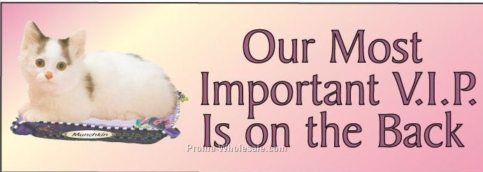 Munchkin Cat Panoramic Photo Hand Mirror