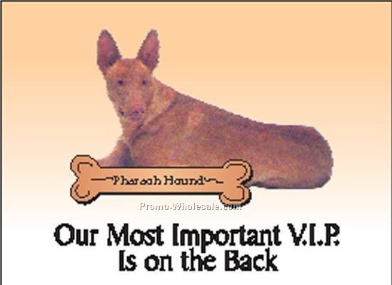 Pharaoh Hound Rectangle Photo Hand Mirror (2-1/2"x3-1/2")