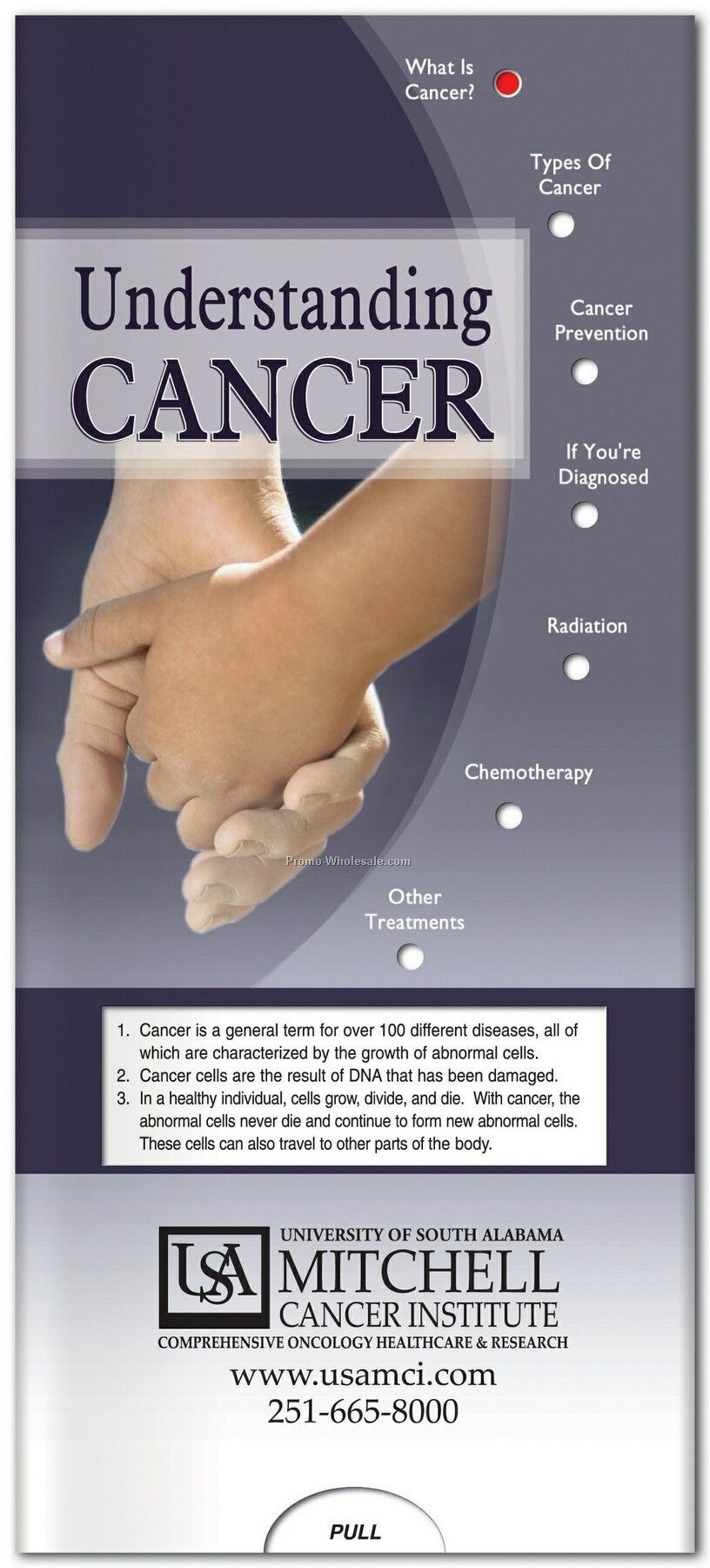 Pillowline Understanding Cancer Pocket Slider Chart