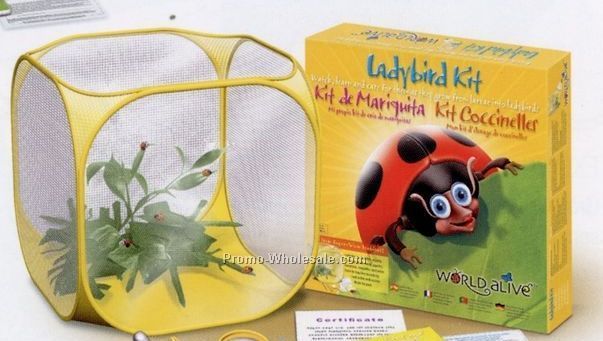 World Alive Interactive Ladybug Habitat Kit