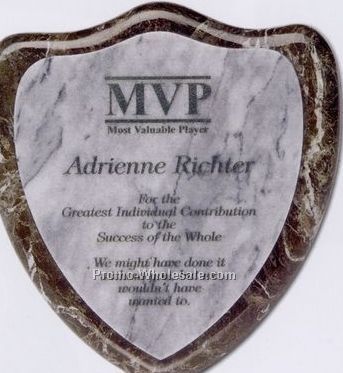 7"x7-1/2"x3/4" Shield Plaque Award - Medium