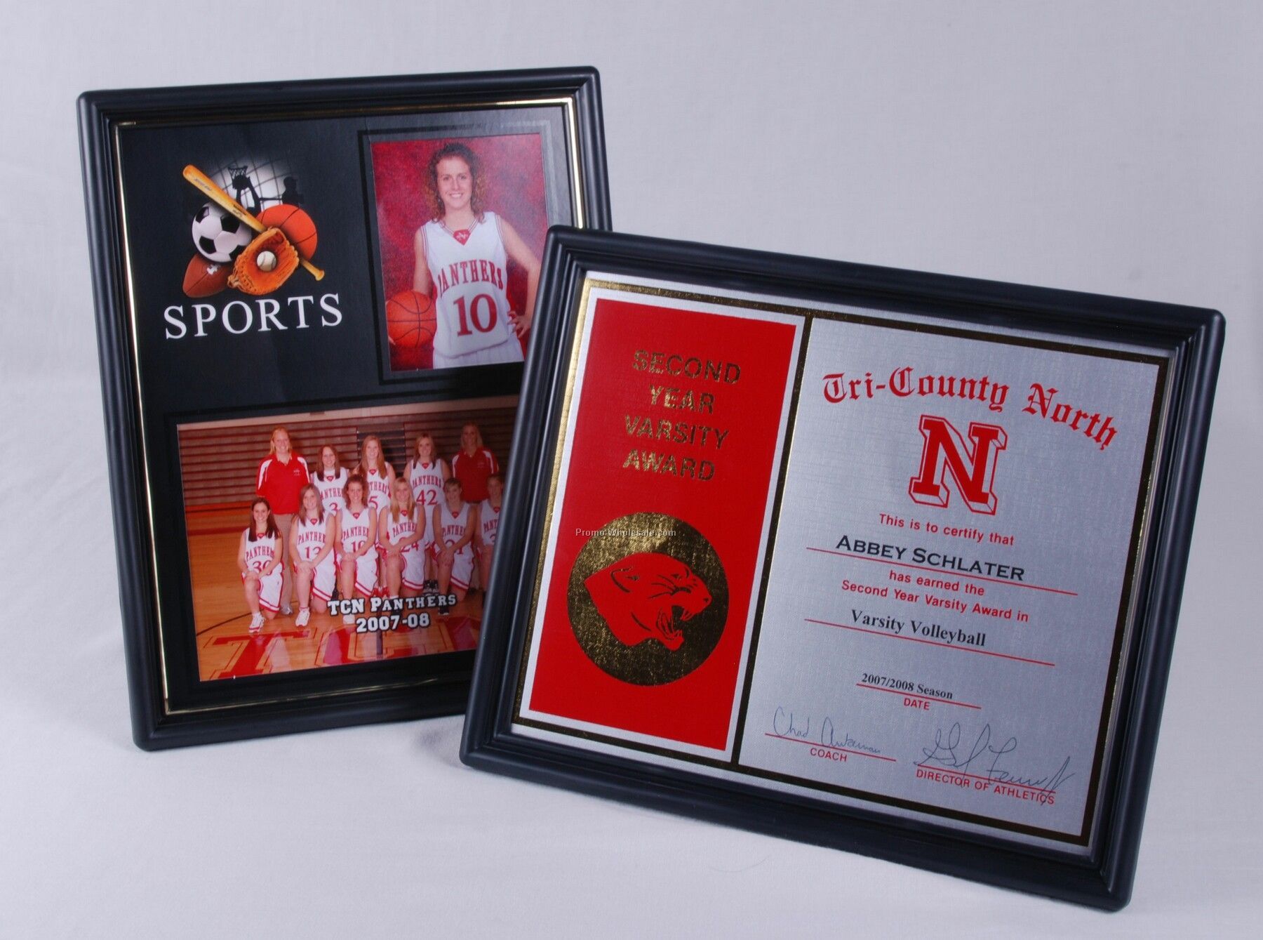 8-1/2"x11" Certificate Frame