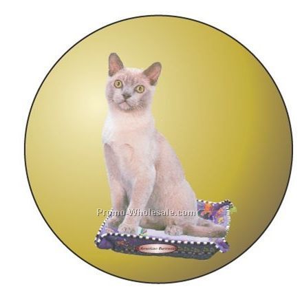 American Burmese Cat Badge W/ Metal Pin (2-1/2")