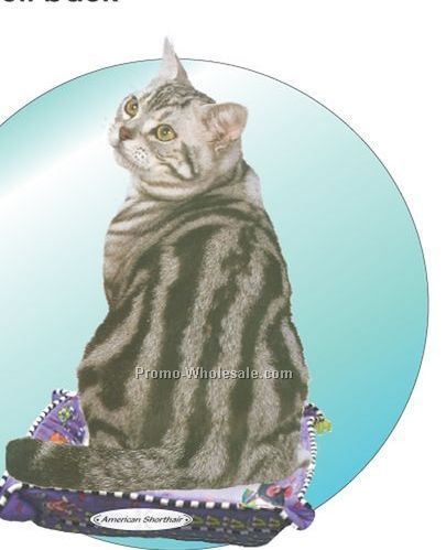 American Shorthair Cat Acrylic Coaster W/ Felt Back