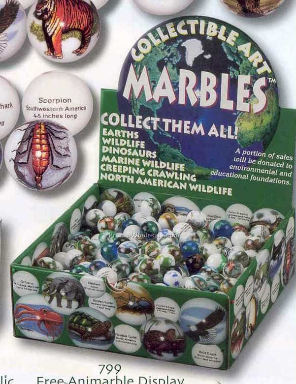 Collectible Art Marbles Display - Holds 250 Animarbles