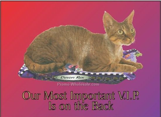Devon Rex Cat Photo Hand Mirror W/ Full Back Mirror (3-1/8"x2-1/8")