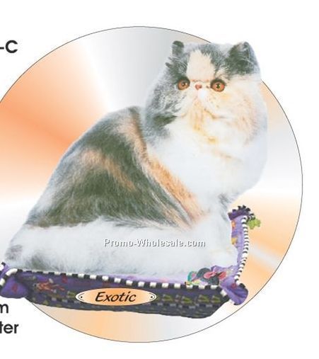 Exotic Cat Acrylic Coaster W/ Felt Back