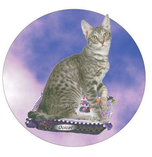 Ocicat Cat Acrylic Coaster W/ Felt Back
