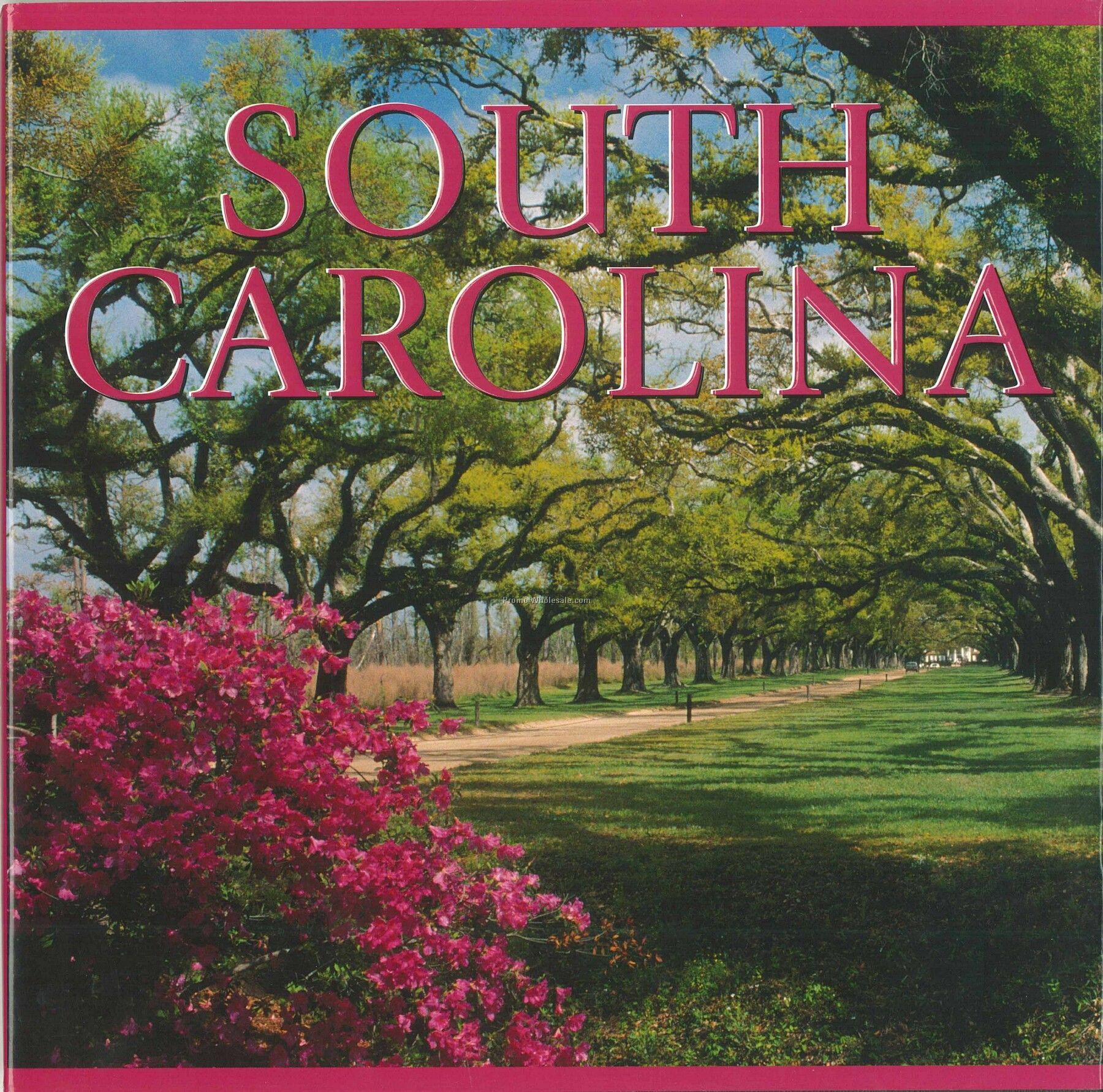 Photo America Book Series - South Carolina