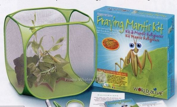 World Alive Interactive Praying Mantis Habitat Kit