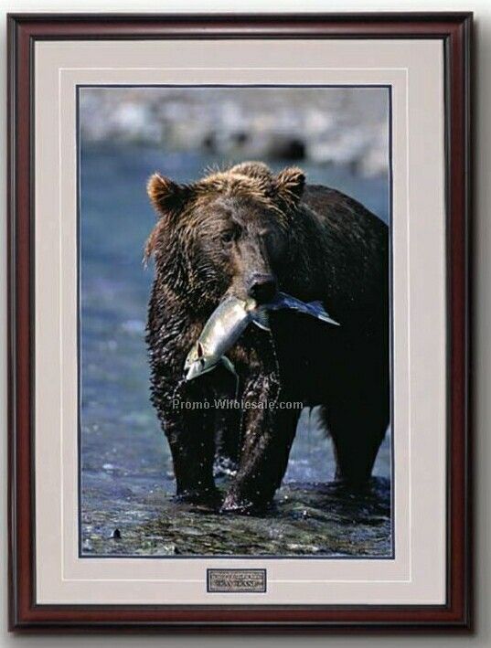 20"x30" Gift Of The Run-alaskan Brown Bear Portrait In Wood Frame (Large)