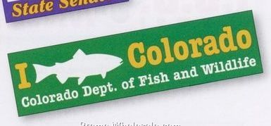 3-3/4"x15" Value Line Removable Bumper Sticker (2 Color) 5 Day Shipping