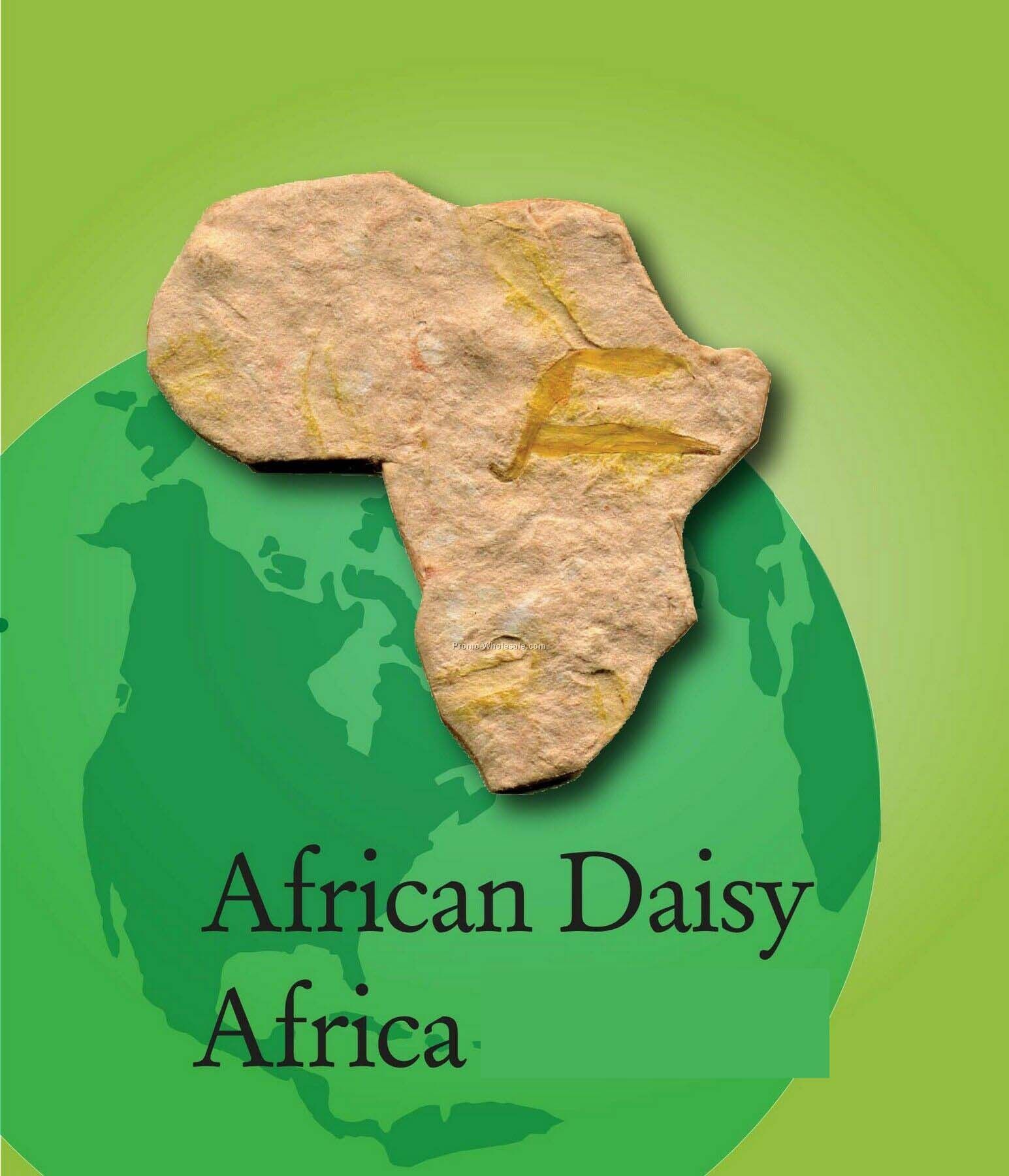African Daisy Handmade Seed Plantable Mini