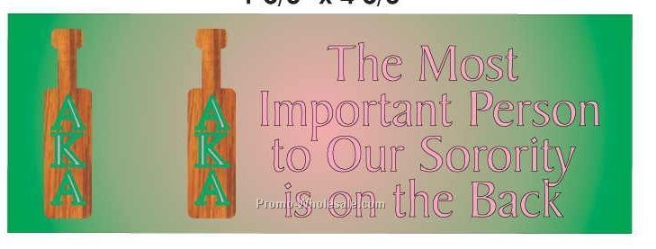 Alpha Kappa Alpha Sorority Paddle Panoramic Photo Hand Mirror