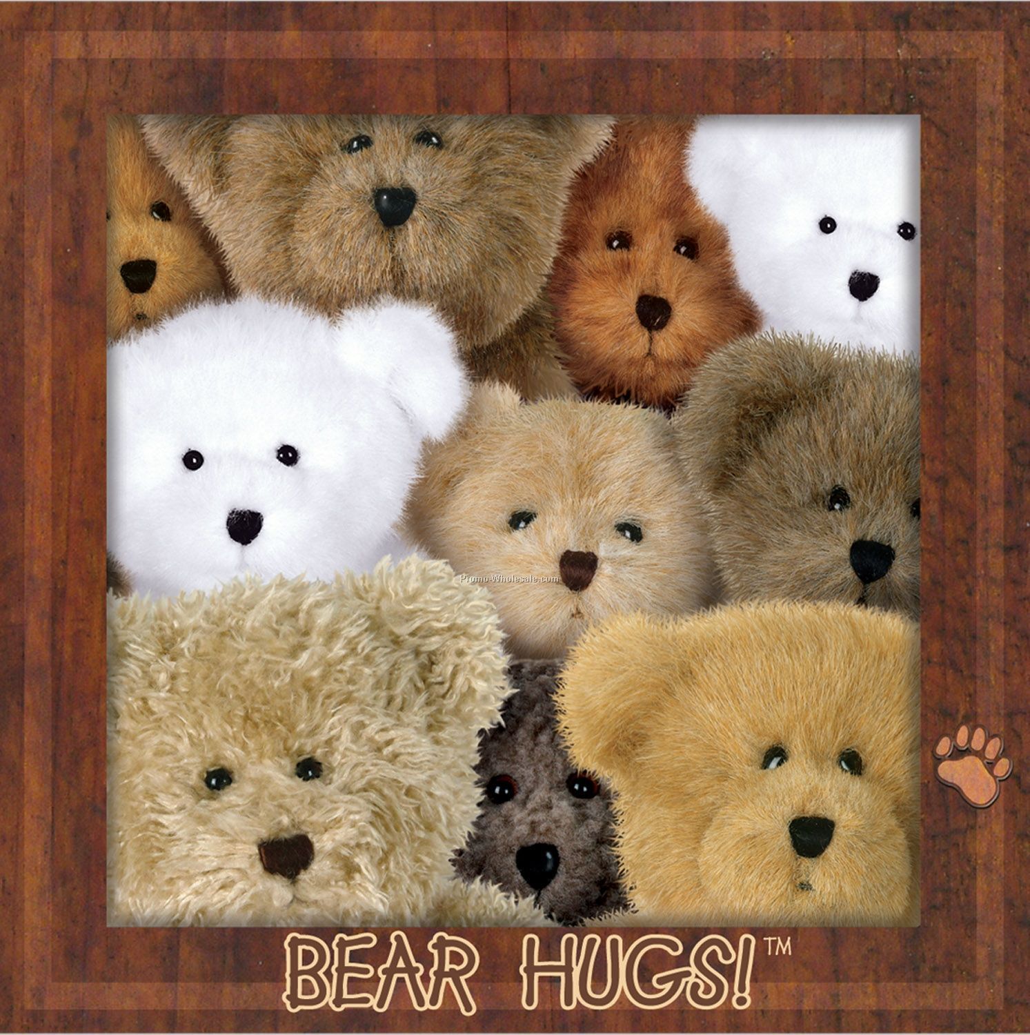 Boyds Bears Luncheon Napkins - Bear Hugs!