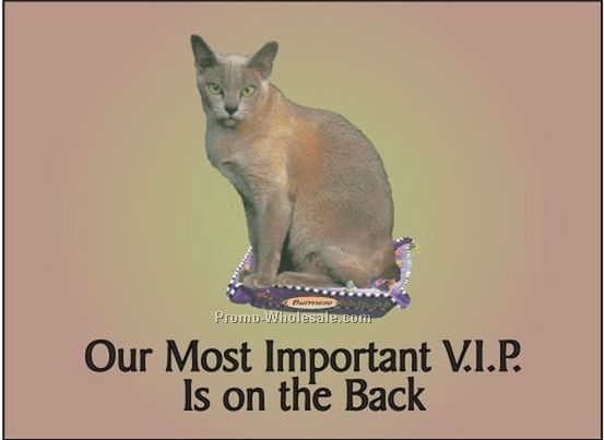 Burmese Cat Rectangle Photo Hand Mirror (2-1/2"x3-1/2")