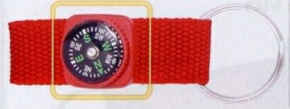 Compass With Strap