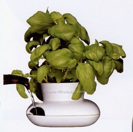 Stoneware Large Herb Pot