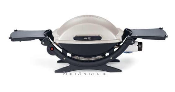 Weber Q 120 Gas Grill