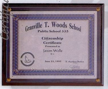 10-1/2"x13" Various Finishes Certificate Holder Plaque