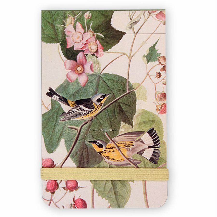 Audubon Birds Bird Mini Journal 6-pack