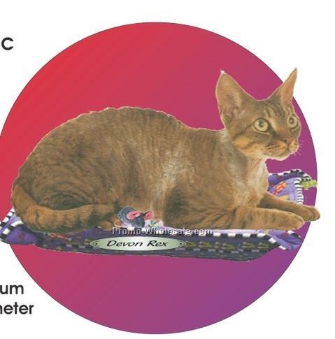 Devon Rex Cat Acrylic Coaster W/ Felt Back