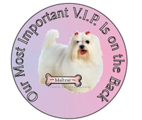 Maltese Dog Round Hand Mirror W/ Full Mirror Back (2-1/2")