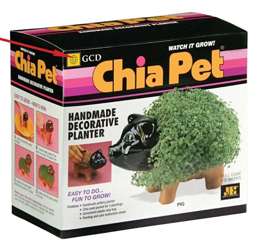 Pig Chia Pet